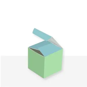 Custom Printed Tuck End Auto Bottom Boxes